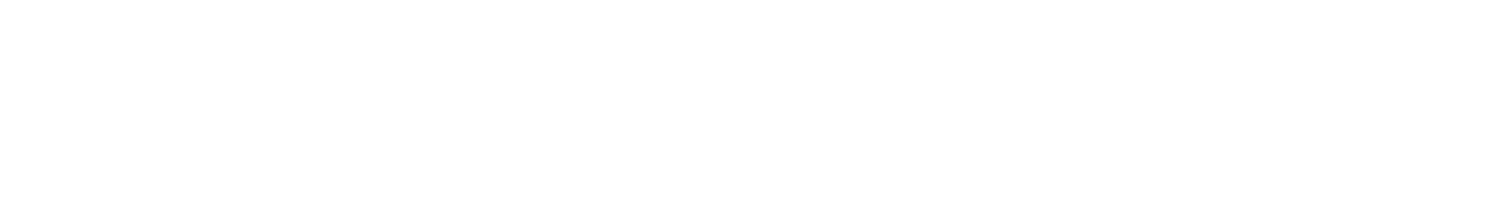 ARA Security Logo White